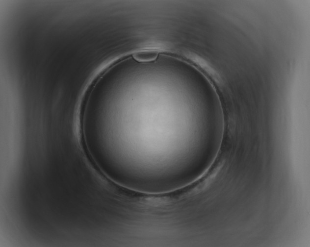 X0000101091469200806261441