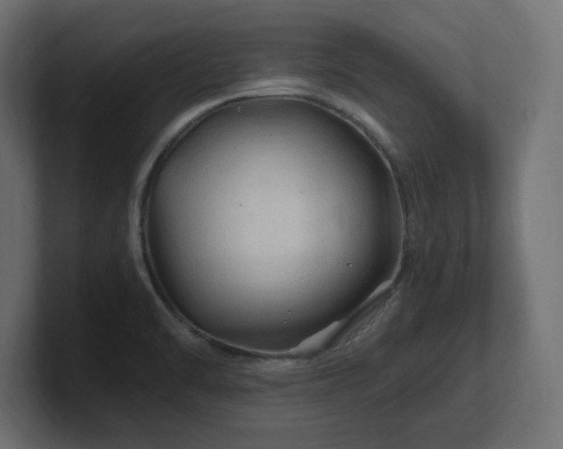 X0000101091470200806261441