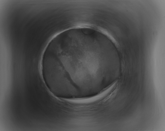 X0000101091471200806261441