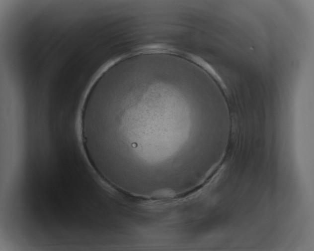 X0000101091474200806261441