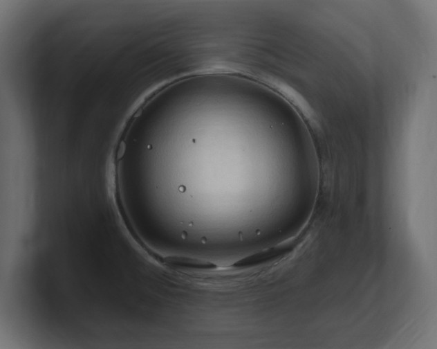 X0000101091476200806261441