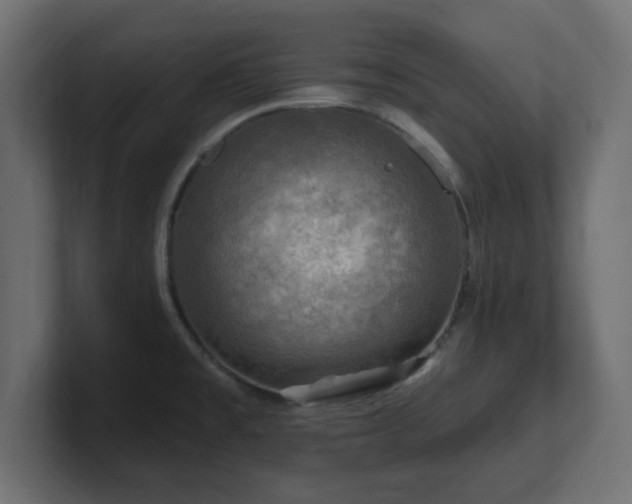 X0000101091477200806261440