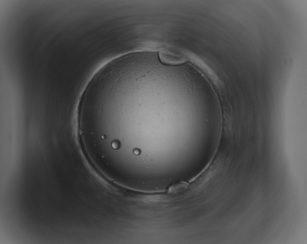 X0000101091479200806261440