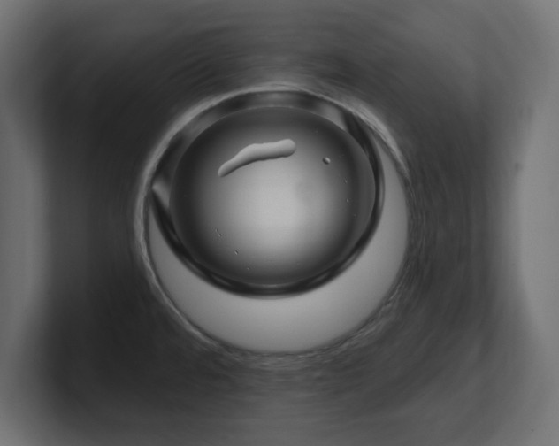 X0000101091480200806261440