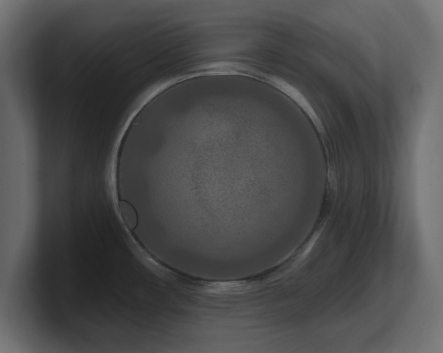 X0000101091482200806261440