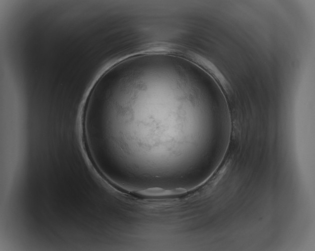 X0000101091483200806261440