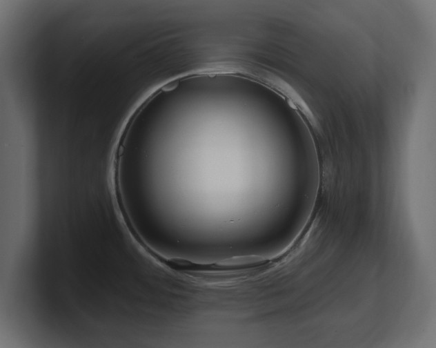 X0000101091484200806261440