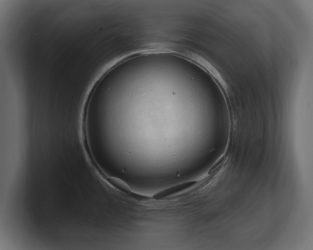 X0000101091485200806261440