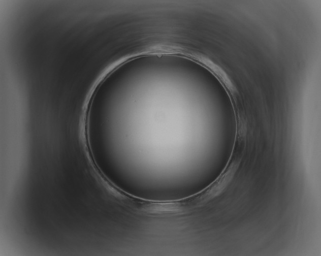 X0000101091486200806261440