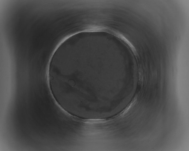 X0000101091487200806261440