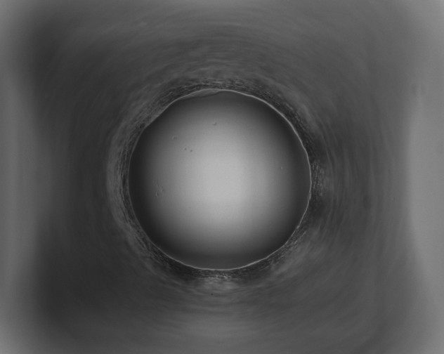 X0000101091489200806261440