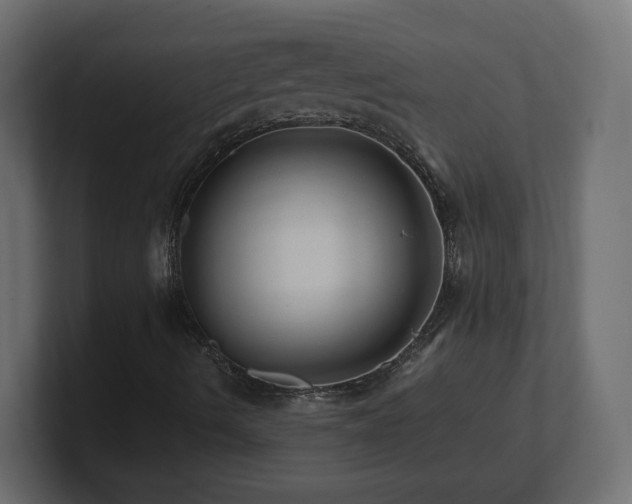 X0000101091490200806261440