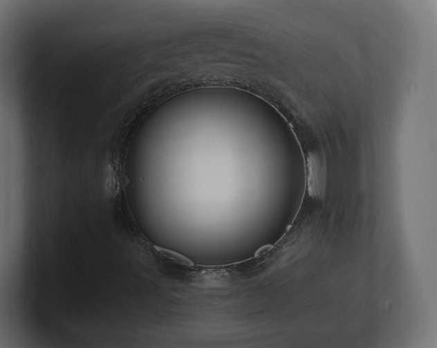 X0000101091491200806261440