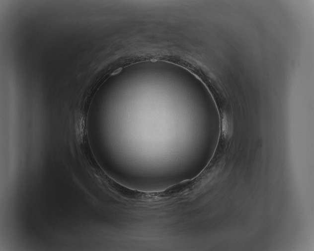 X0000101091492200806261440