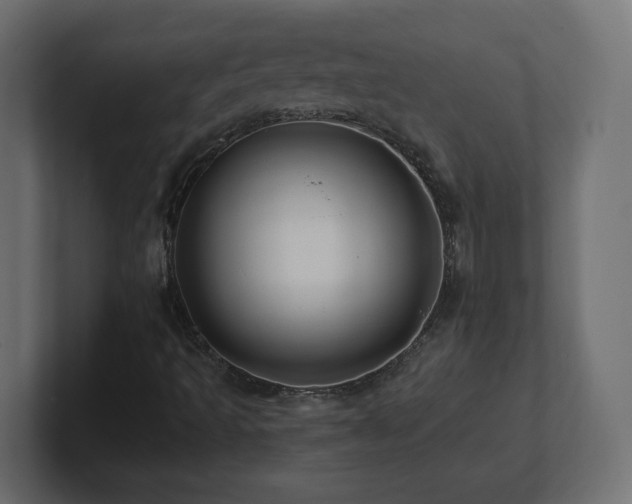 X0000101091493200806261440