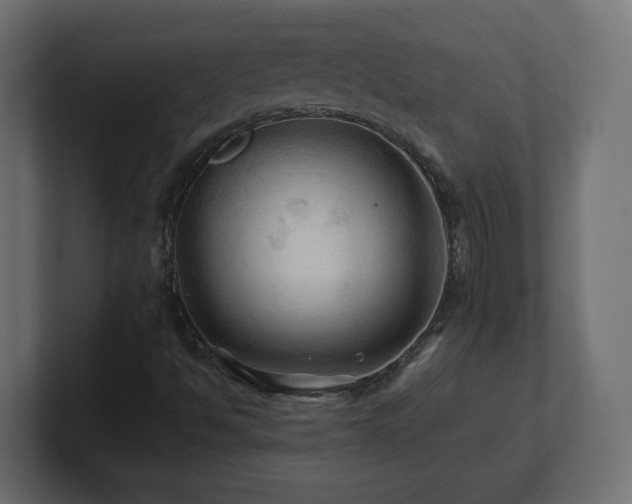 X0000101091494200806261440