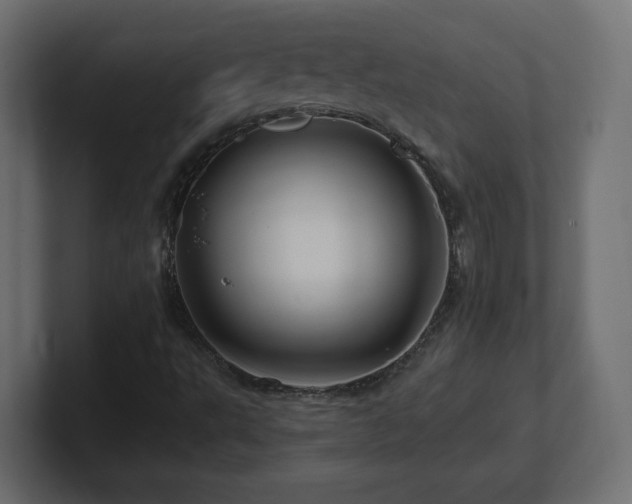 X0000101091495200806261440