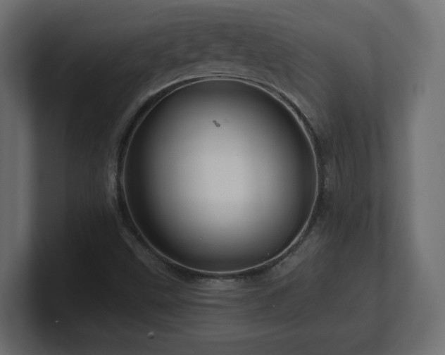 X0000101091499200806261440