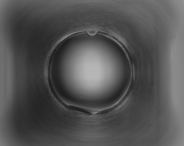 X0000101091500200806261440