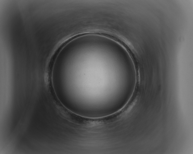 X0000101091501200806261440