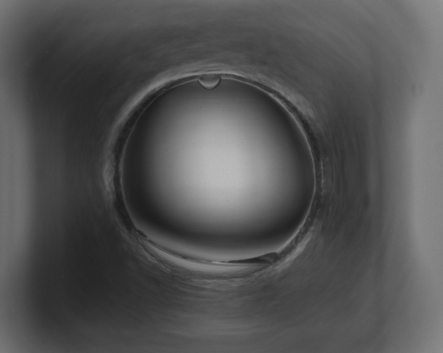 X0000101091502200806261440