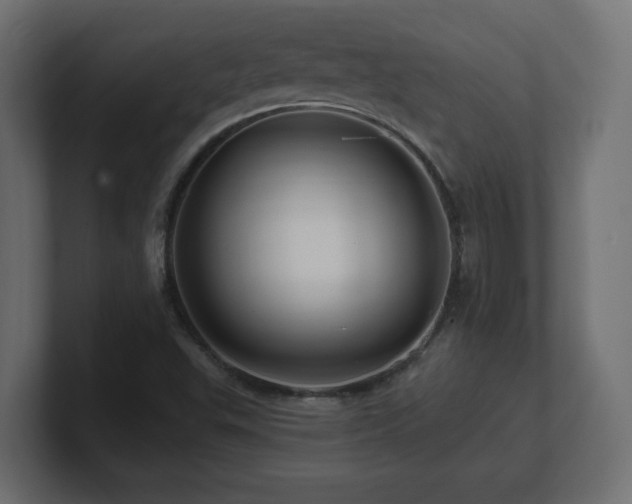 X0000101091503200806261440