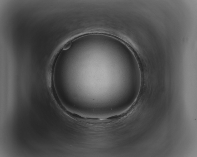 X0000101091504200806261440