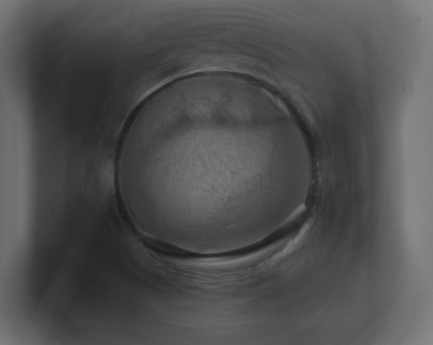 X0000101091505200806261440