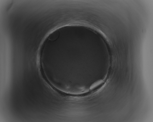 X0000101091506200806261440