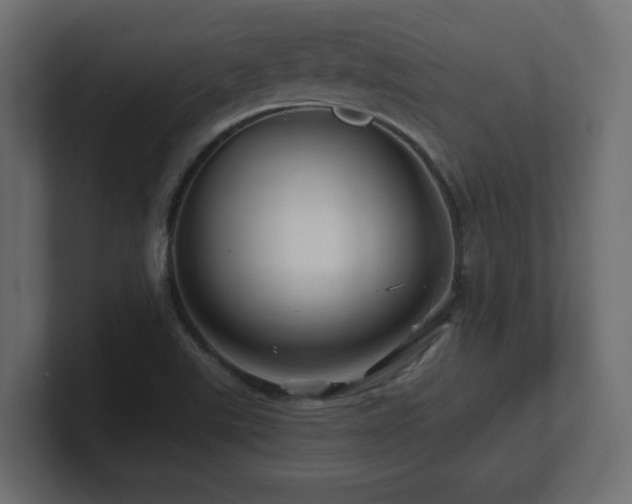 X0000101091507200806261440