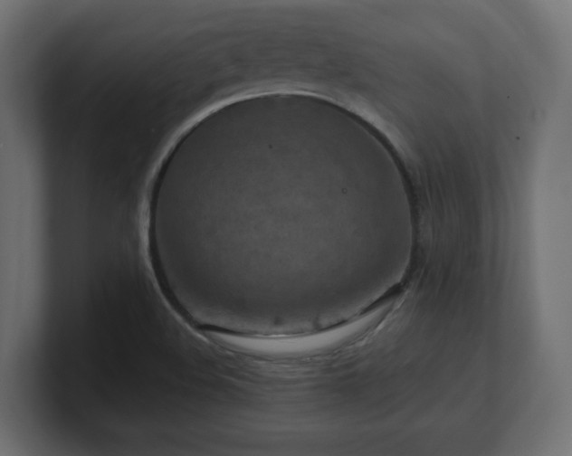 X0000101091508200806261440