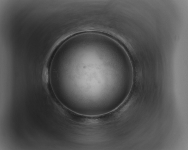 X0000101091509200806261440