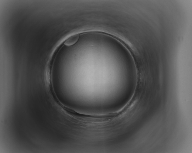 X0000101091510200806261440