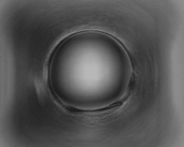 X0000101091511200806261440