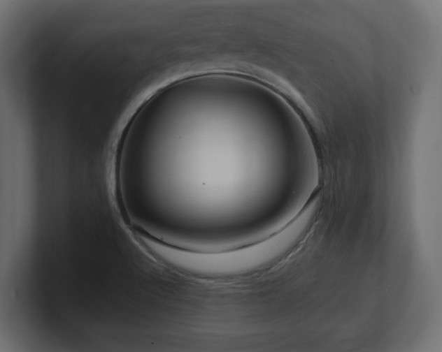 X0000101091512200806261440