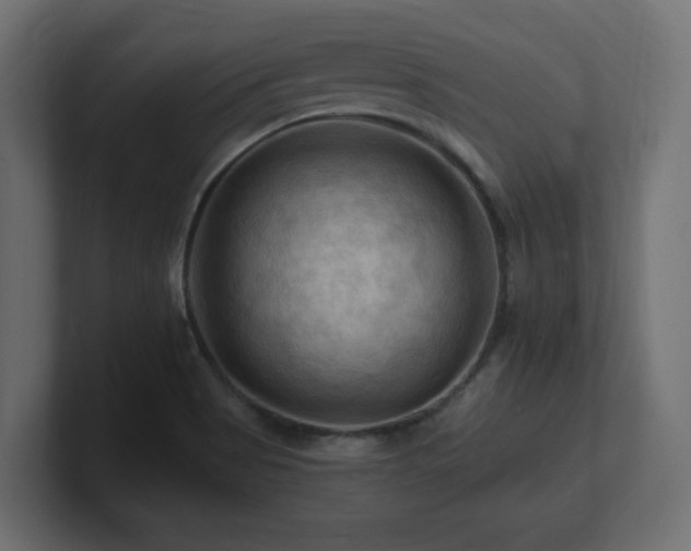 X0000101091513200806261440