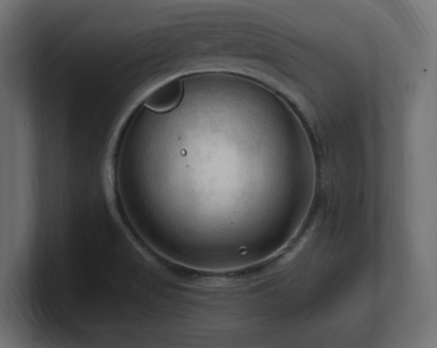 X0000101091517200806261440