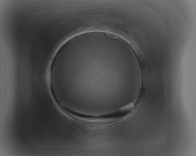 X0000101091519200806261440