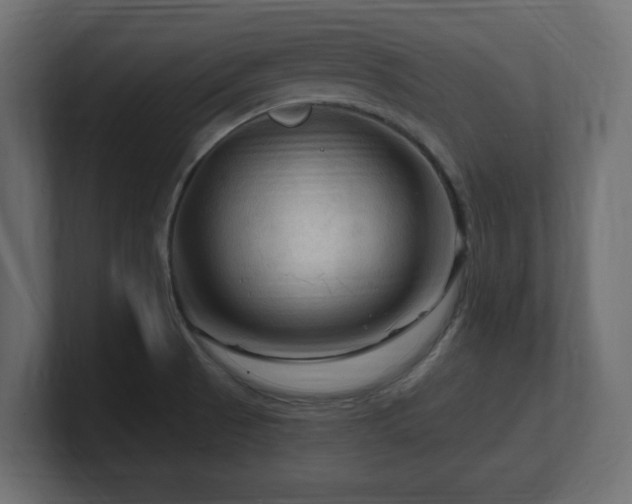 X0000101091521200806261440