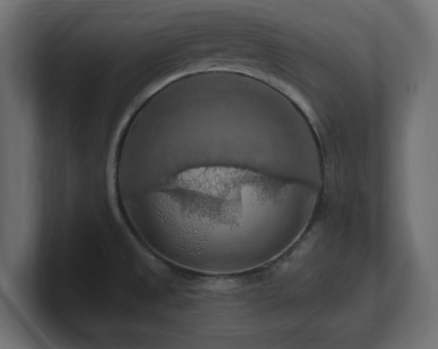 X0000101091525200806261440