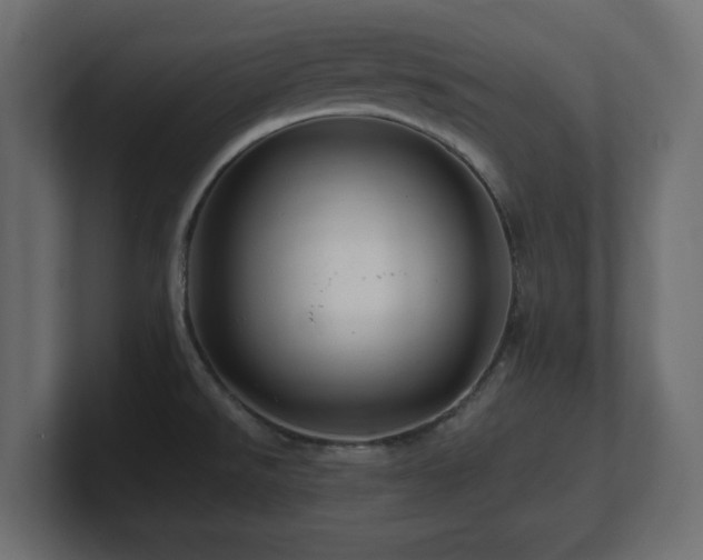 X0000101091526200806261440