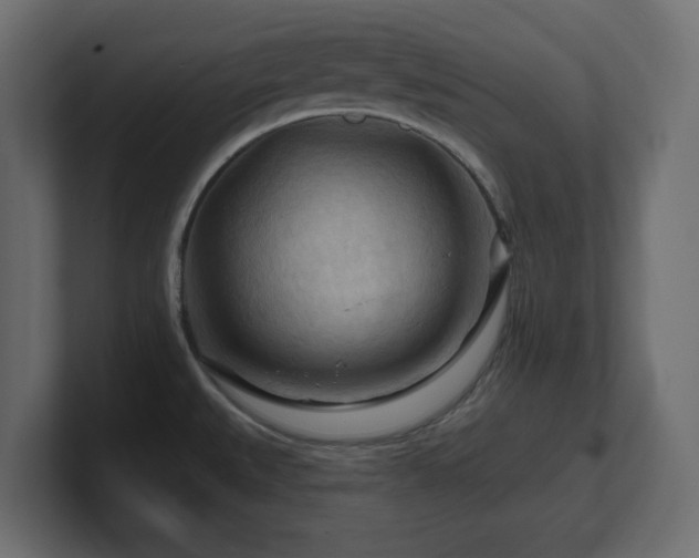 X0000101091527200806261440