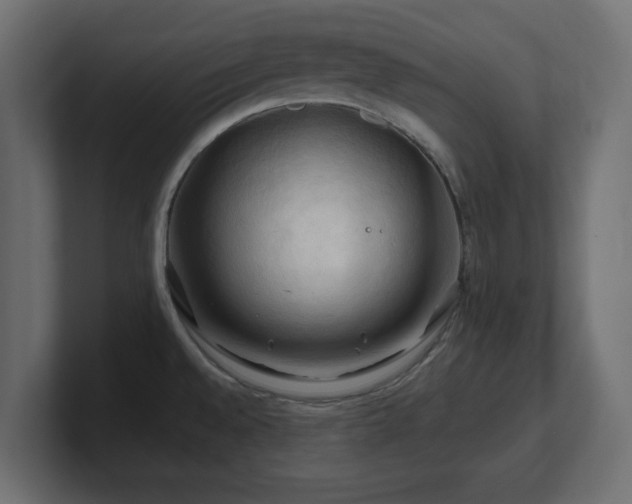 X0000101091528200806261440