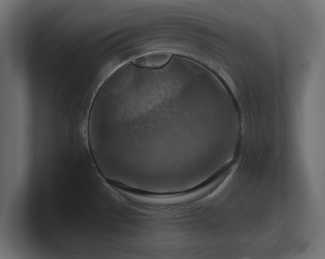 X0000101091529200806261440