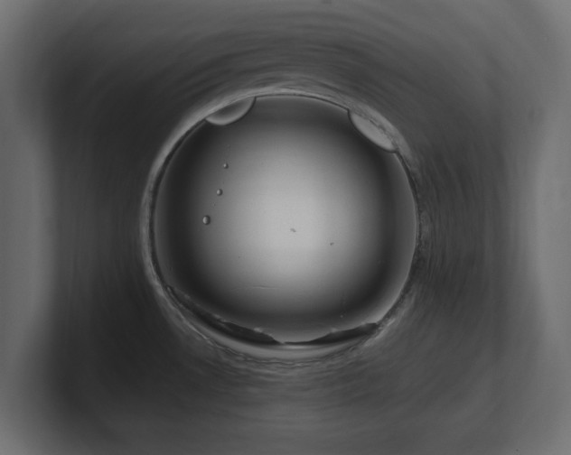 X0000101091530200806261440