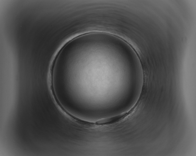 X0000101091531200806261440