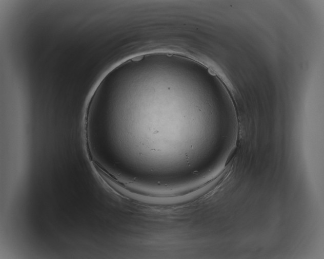 X0000101091532200806261440