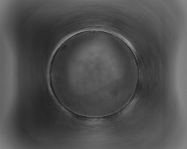 X0000101091533200806261440