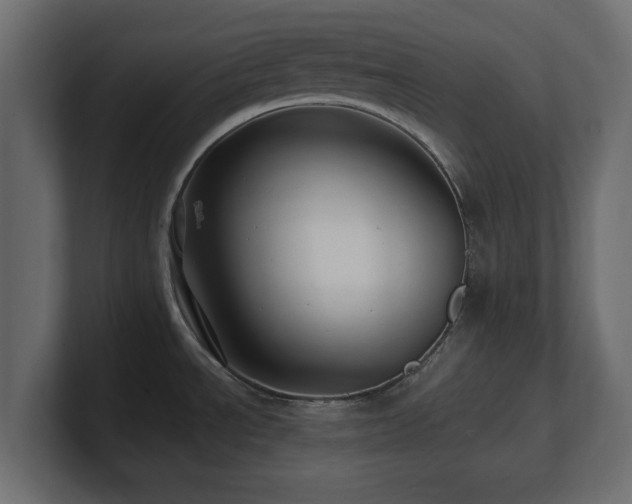 X0000101091534200806261440