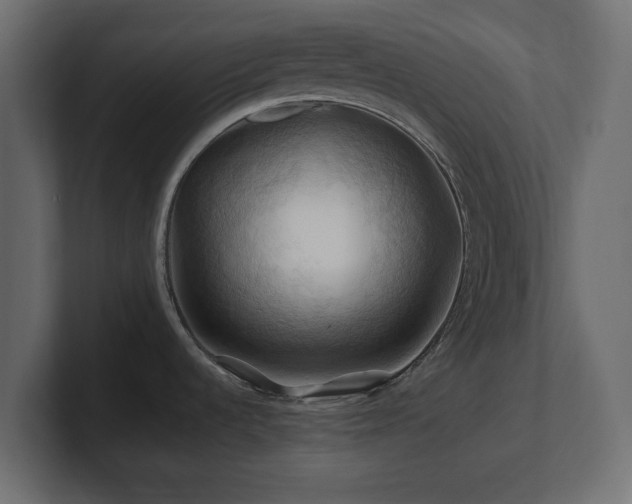 X0000101091536200806261440